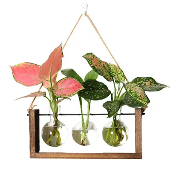 Настенные подвесные горшки для растений, прозрачные Изысканные настенные вазы для декора стен домашнего офиса  4